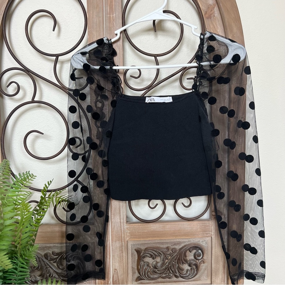 ZARA mesh sleeve polka dot top
